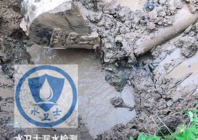 临泉县水管漏水检测公司5